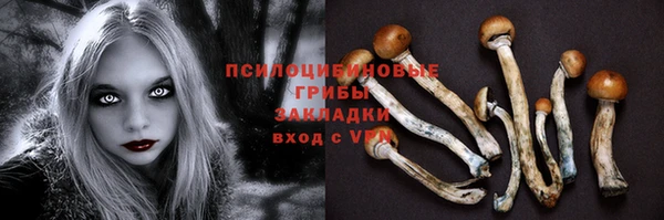 соль ск Новозыбков