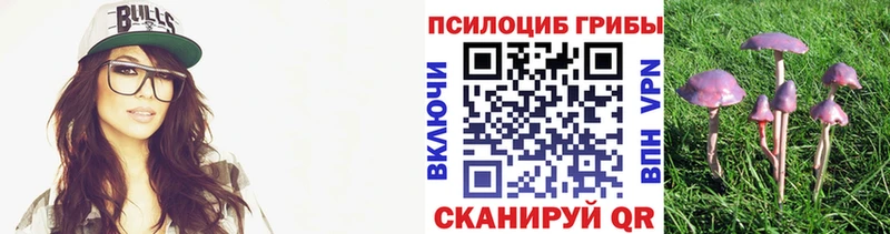 Псилоцибиновые грибы MAGIC MUSHROOMS  кракен сайт  Карабаново 